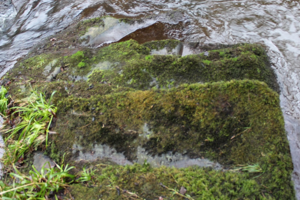 Remains of stone steps at the site of Cunning Willie's Mill on Mouse Water